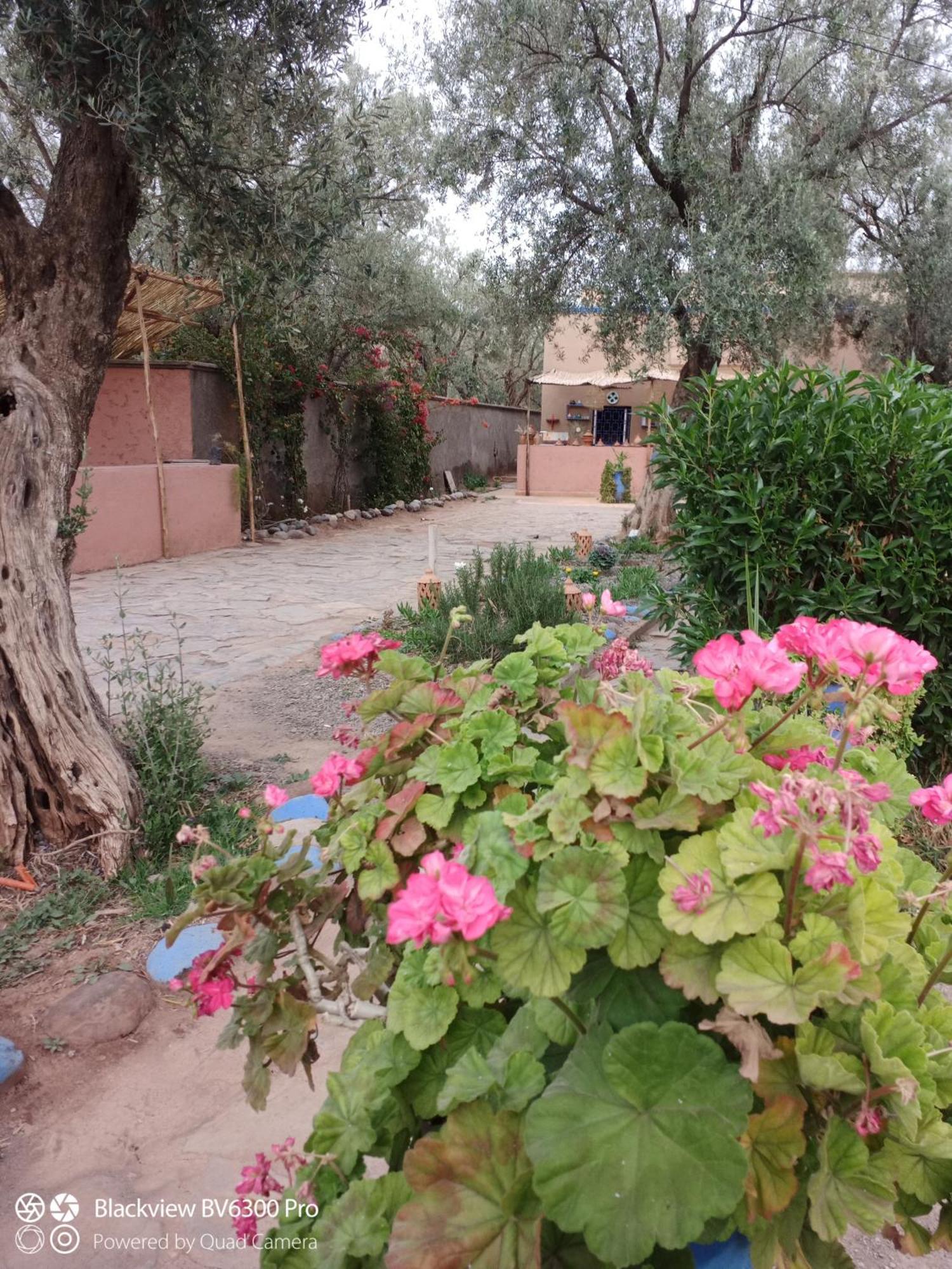 Apartamento Les Delices D Aya Tahanaout Exterior foto